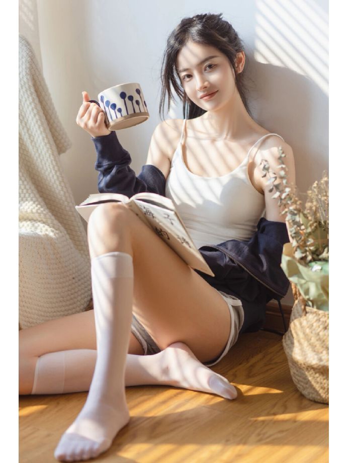 大明王朝1566 封面